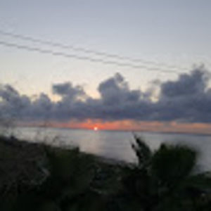 Meet your Posher, Clint